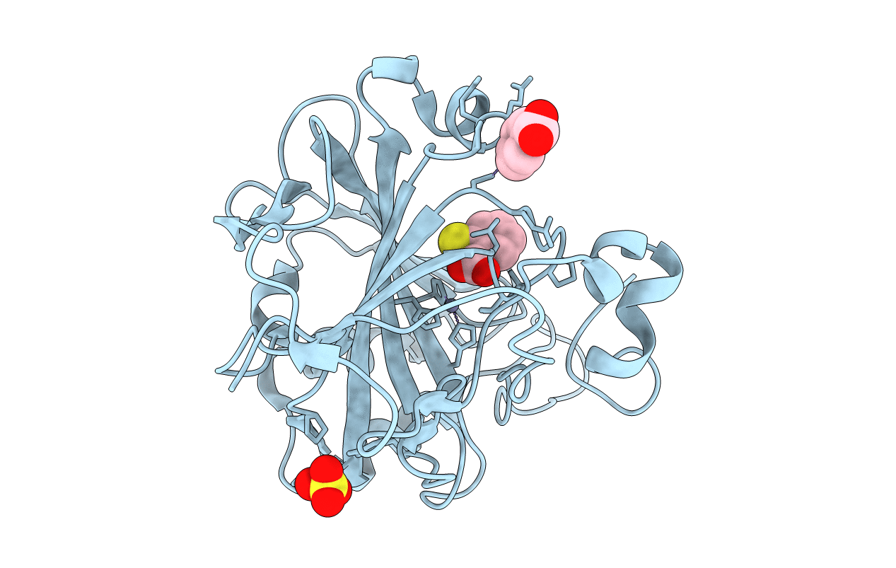 4E4A image