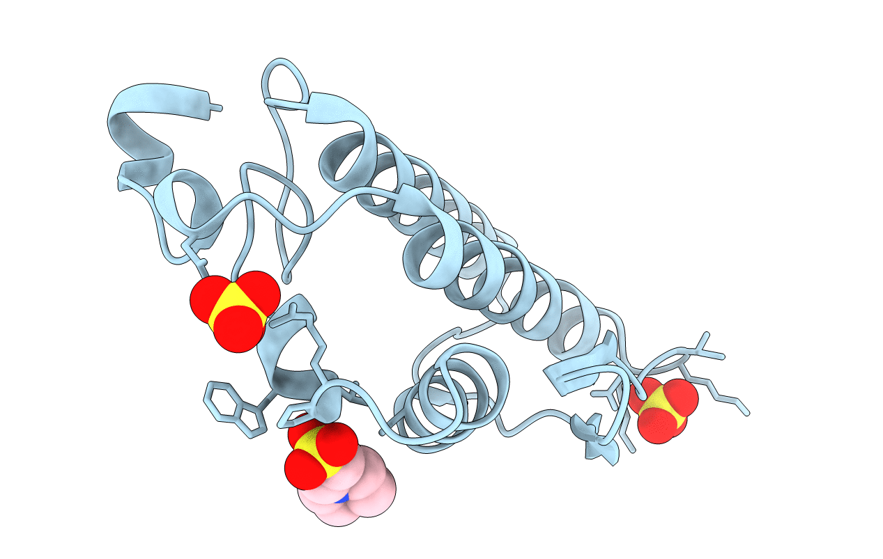 4E4C image