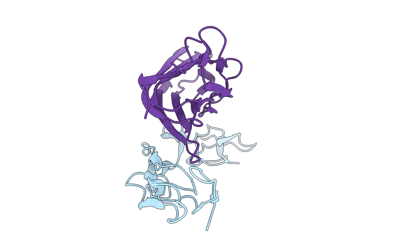 4E4D image