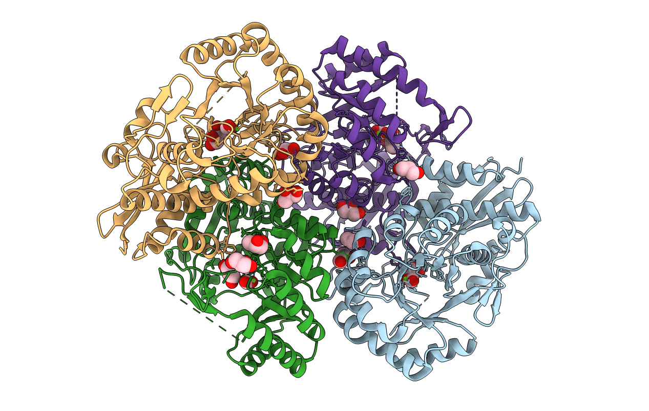 4E4F image