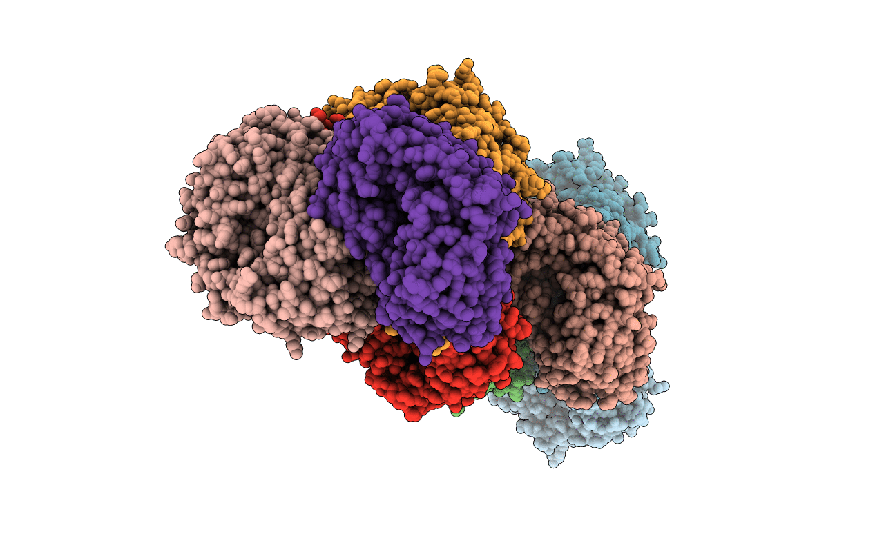 4E4G image