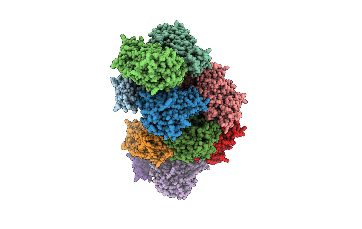 4E4J image
