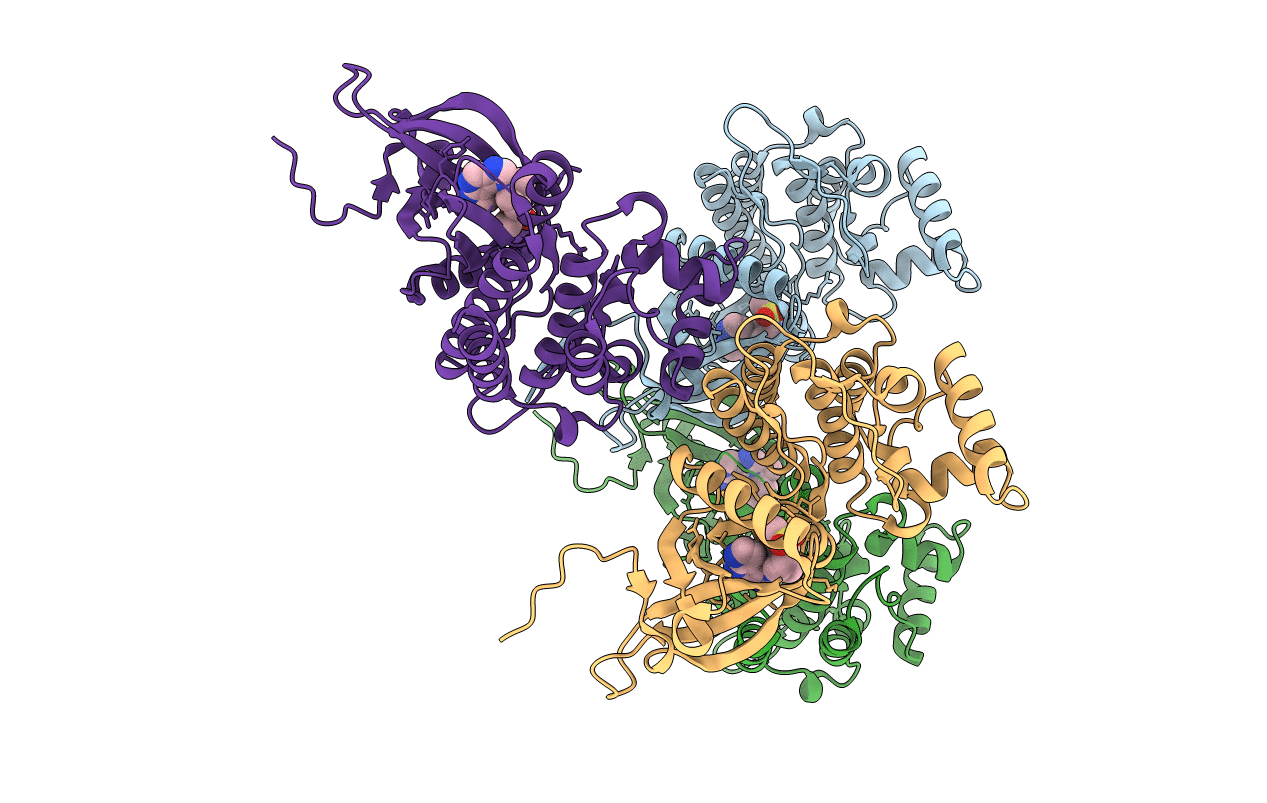 4E4M image