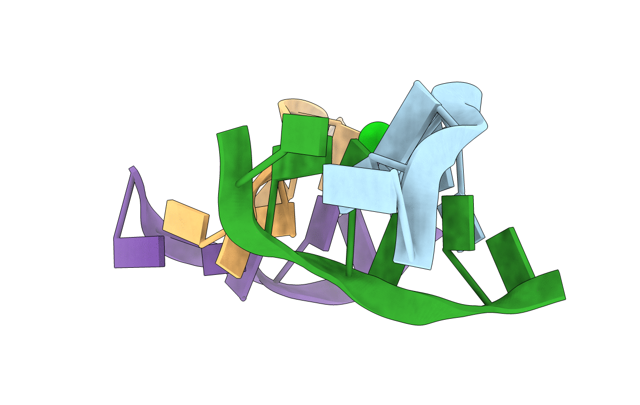 4E4O image