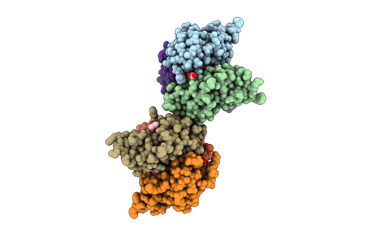 4E4S image