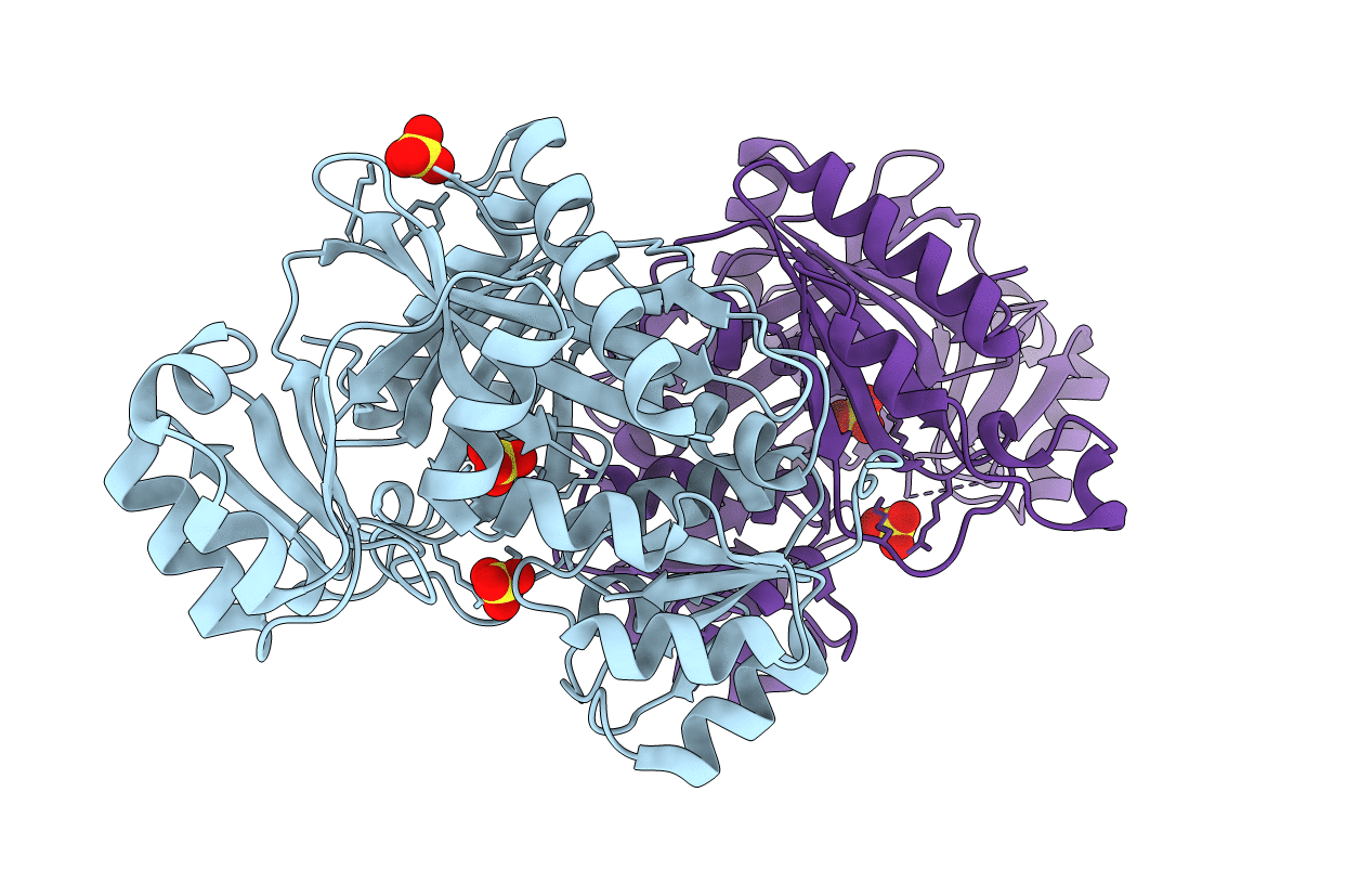 4E4T image