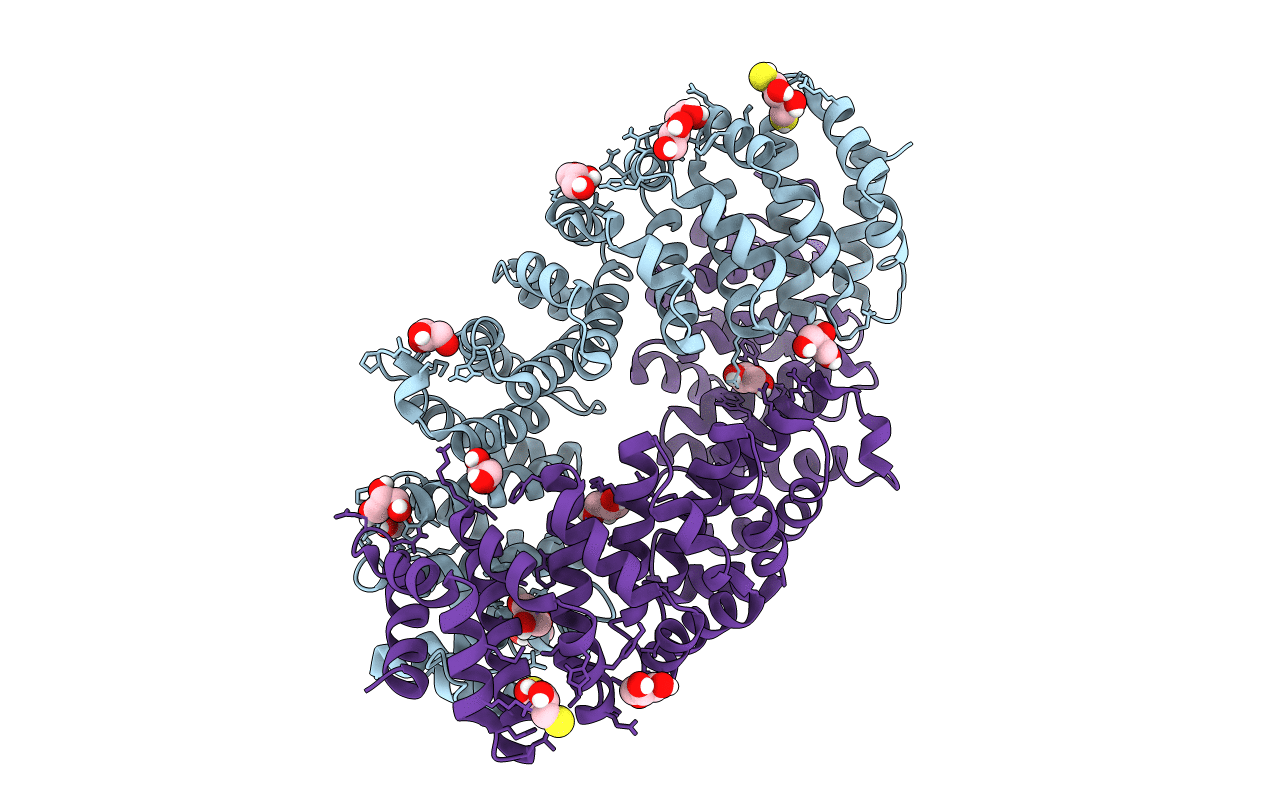 4E4V image