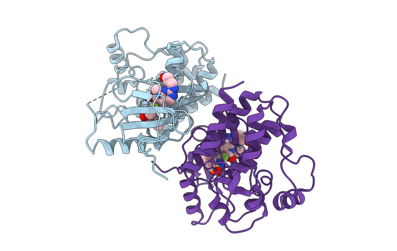 4E4X image
