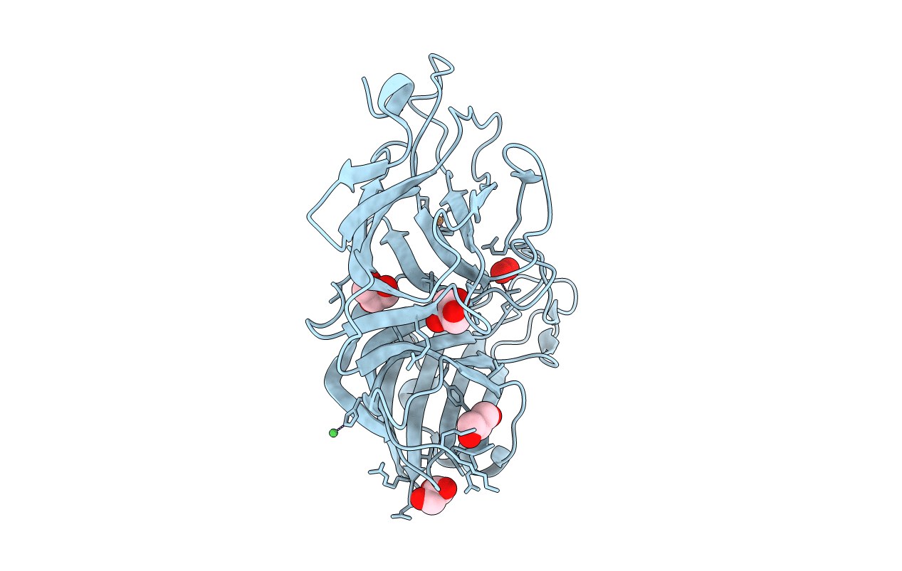 4E4Z image