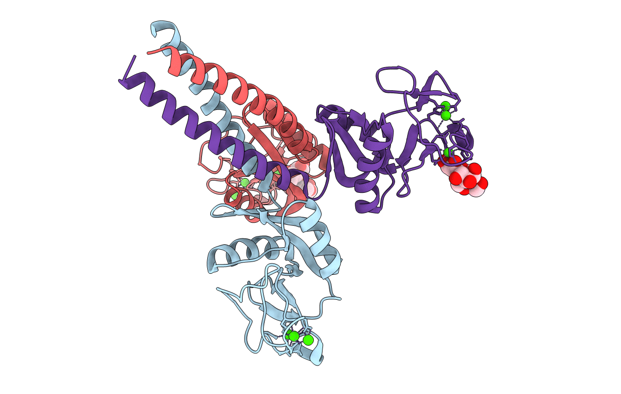 4E52 image