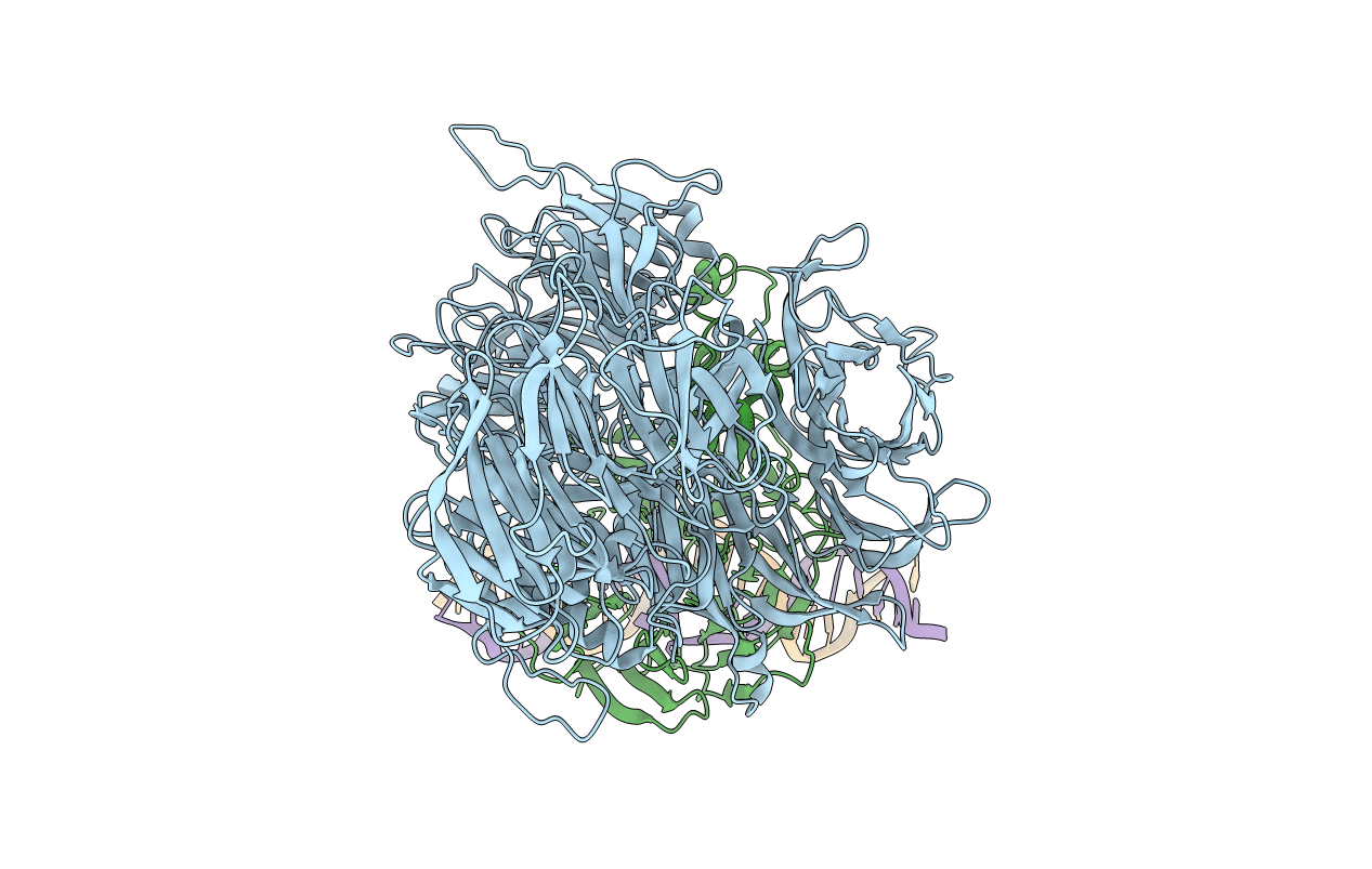 4E54 image