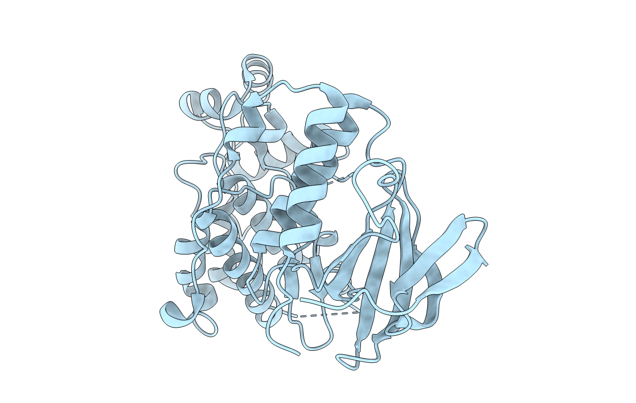 4E5A image