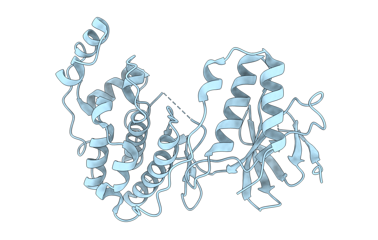 4E5B image