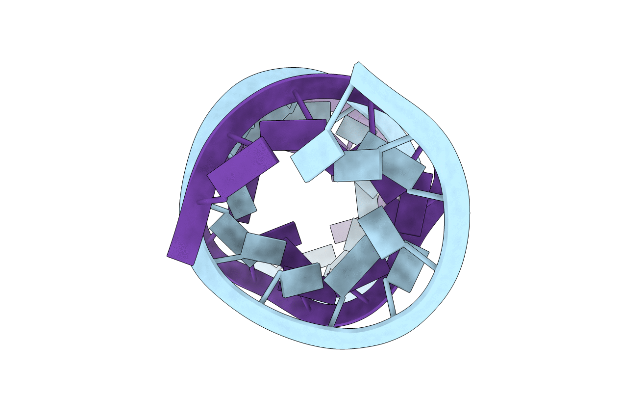 4E5C image