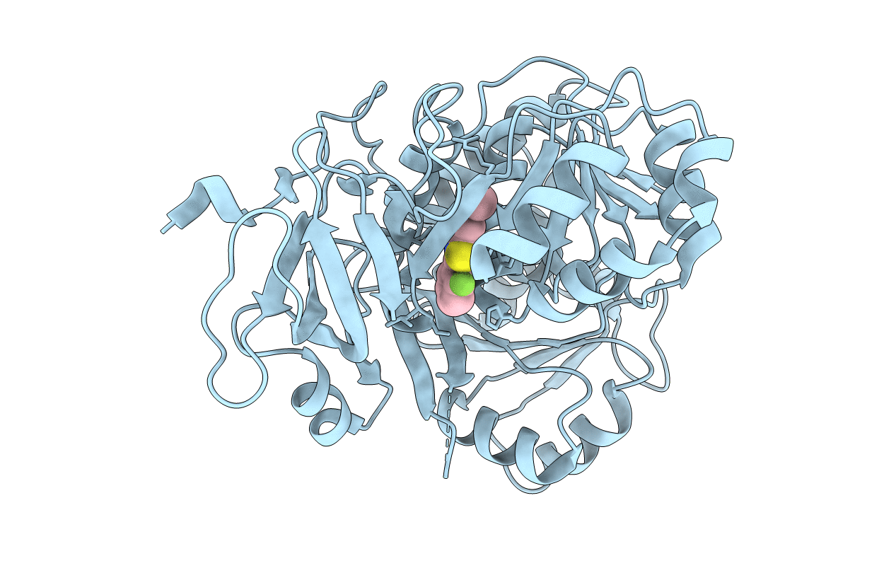 4E5D image