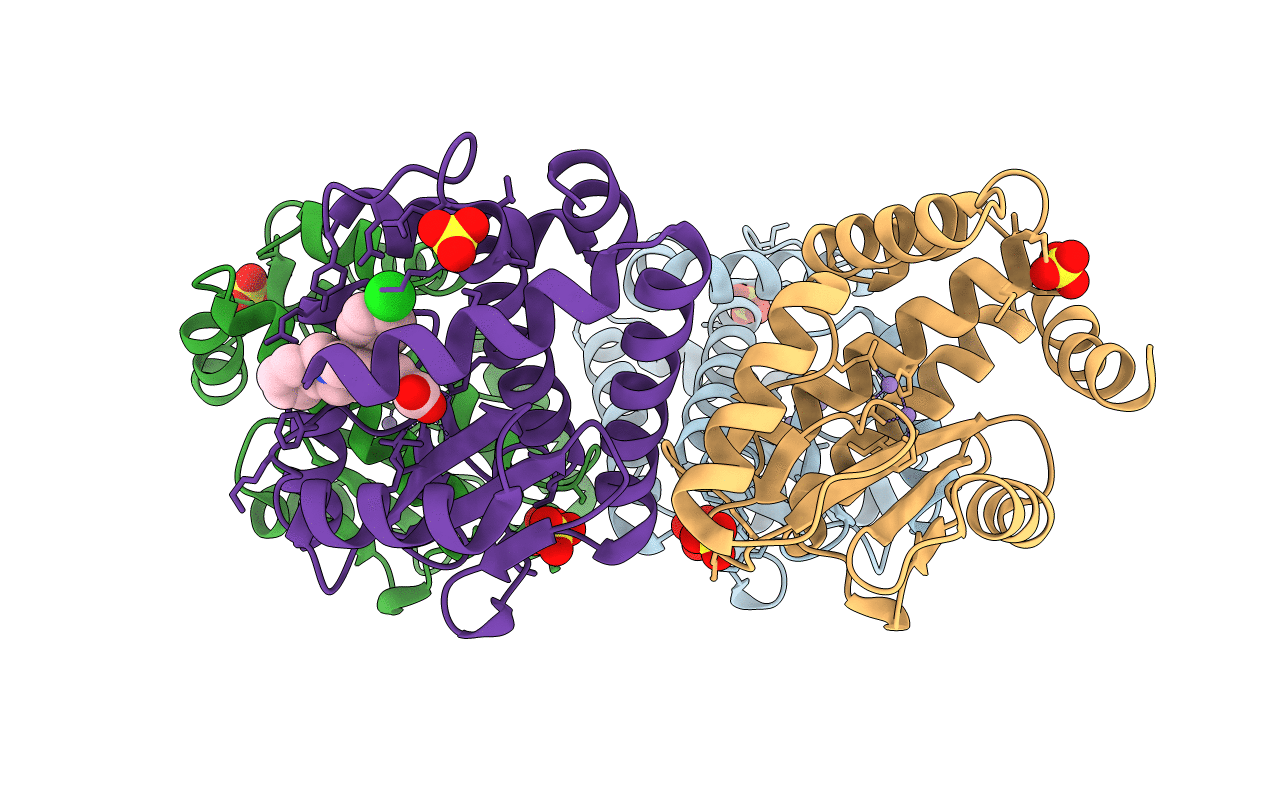4E5H image