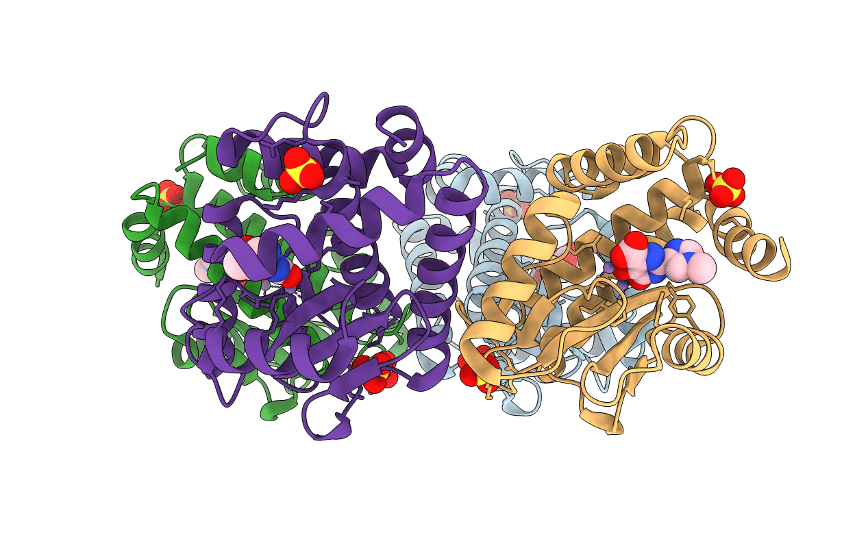 4E5I image