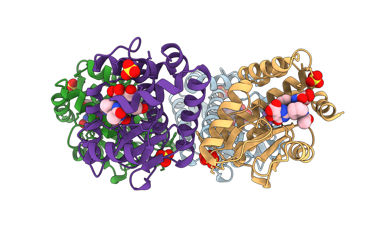 4E5J image