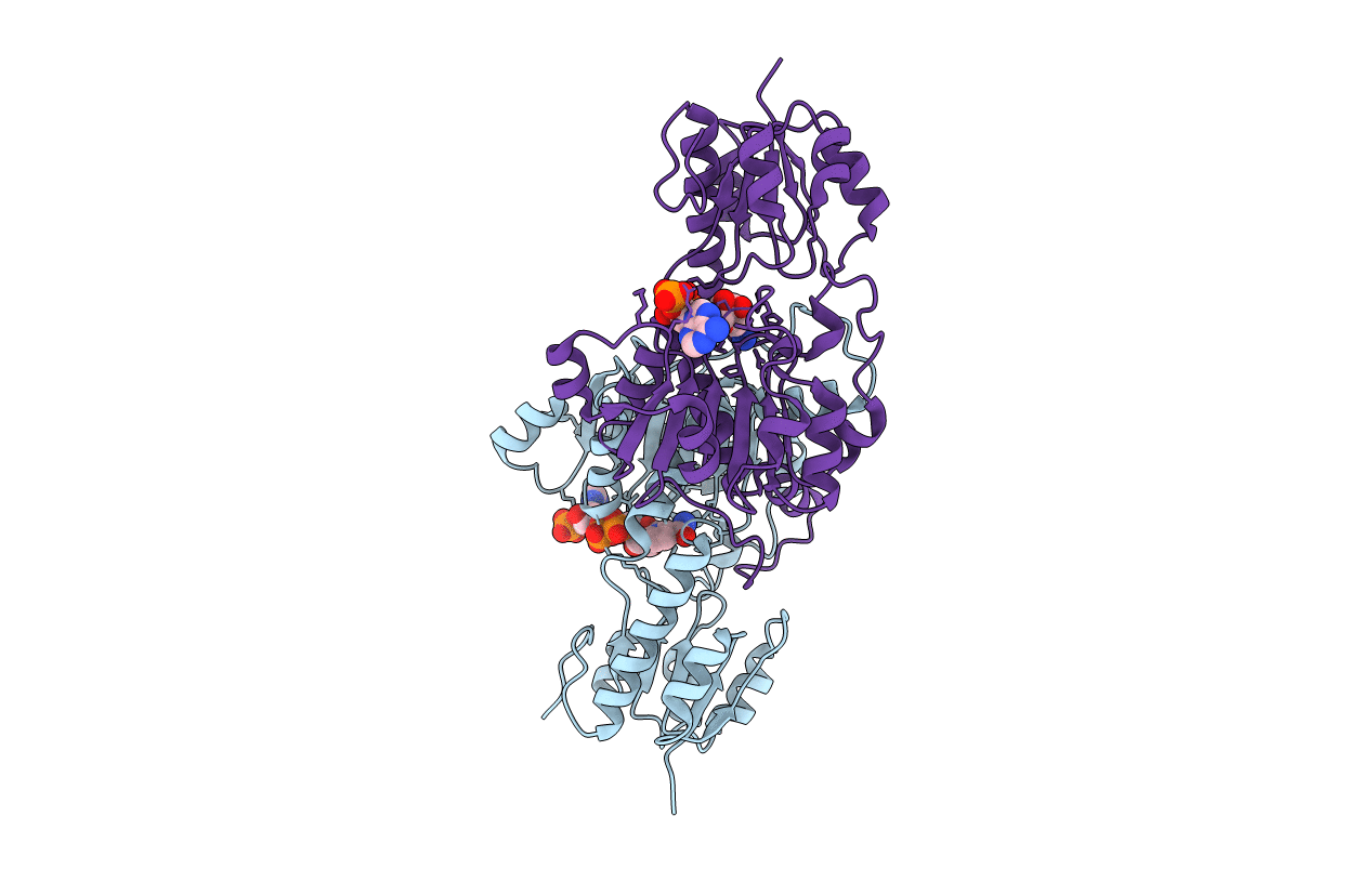 4E5M image