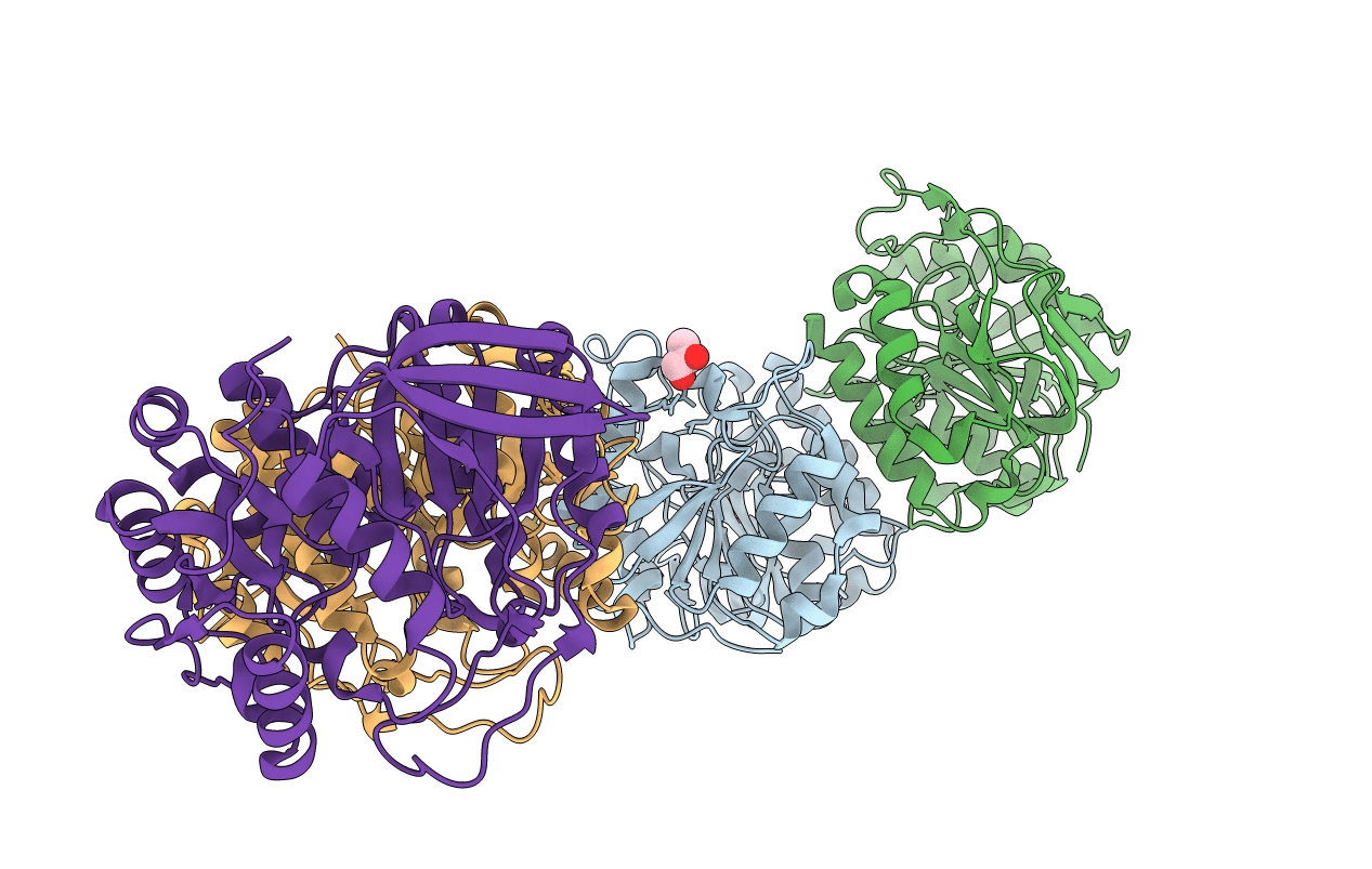 4E5S image