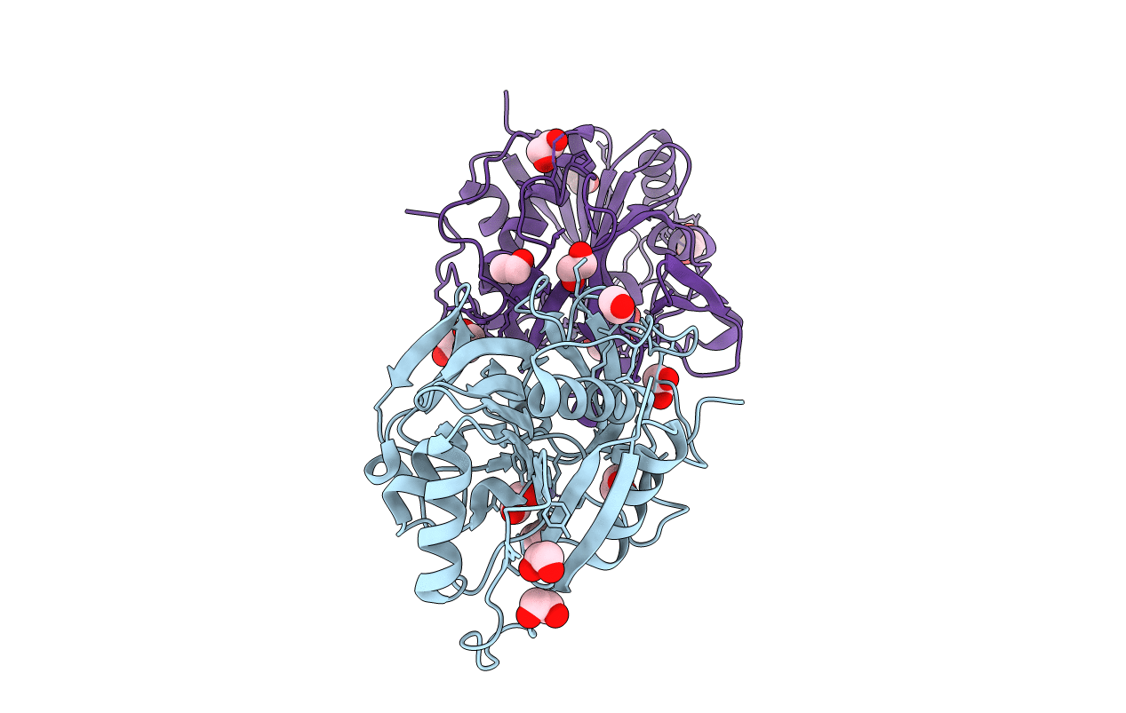 4E5V image