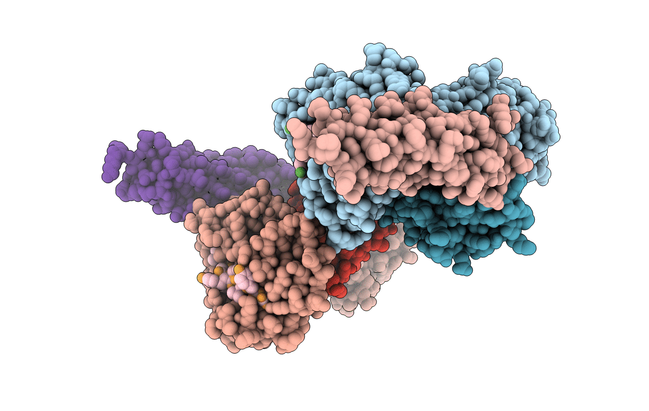 4E5X image