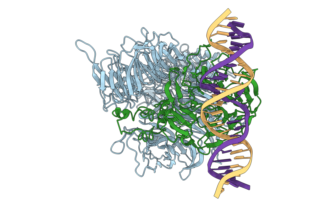 4E5Z image