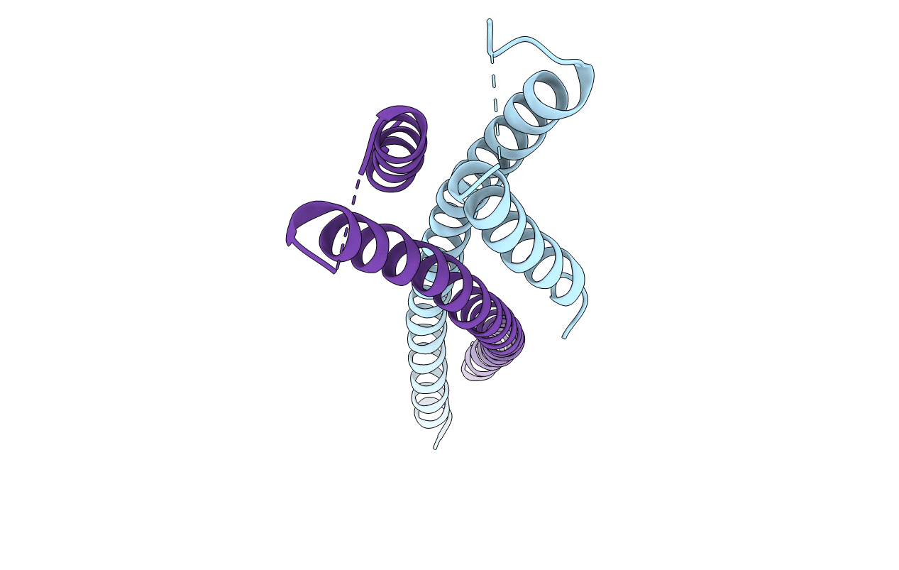 4E61 image