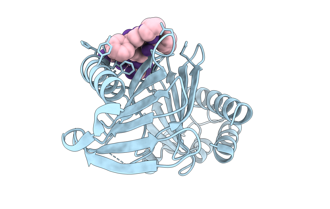 4E67 image