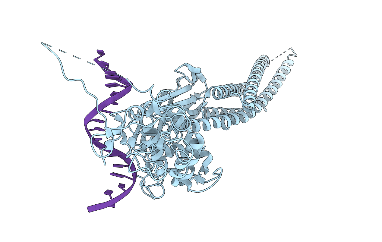 4E68 image