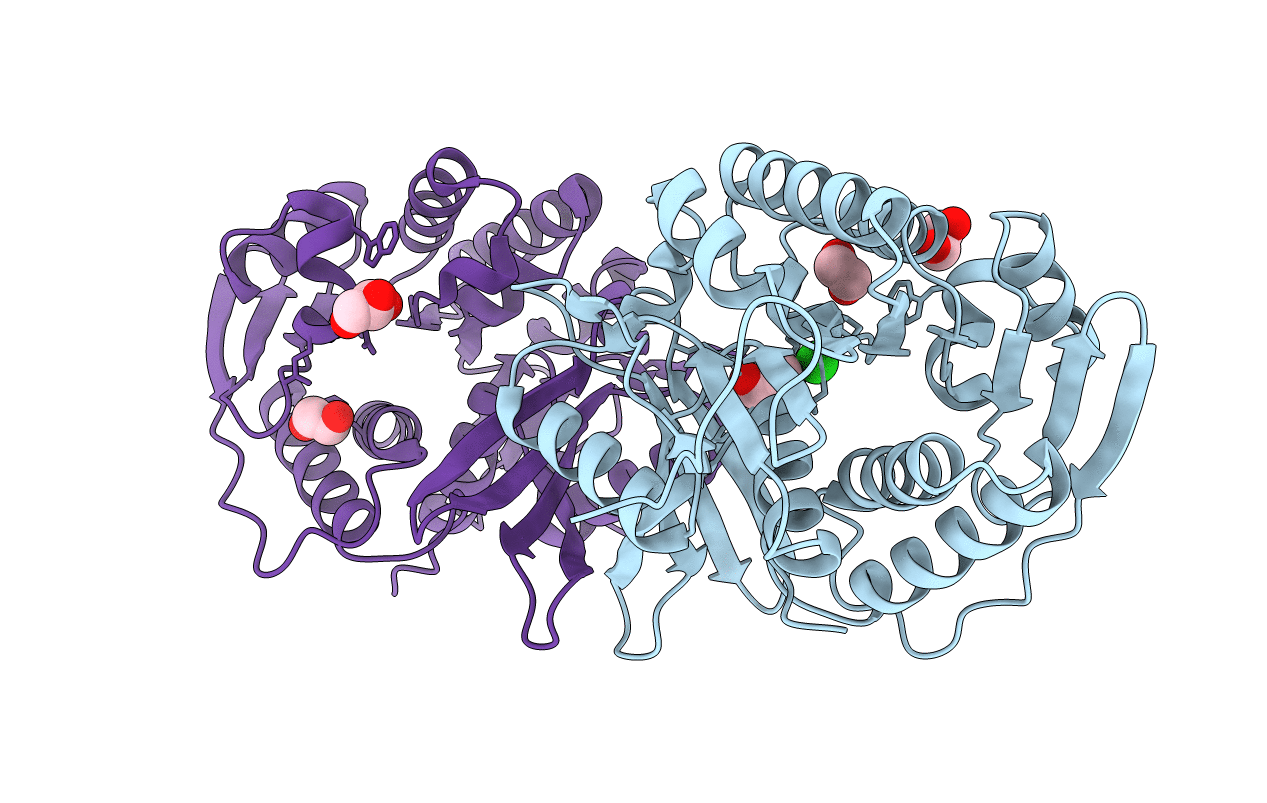 4E69 image