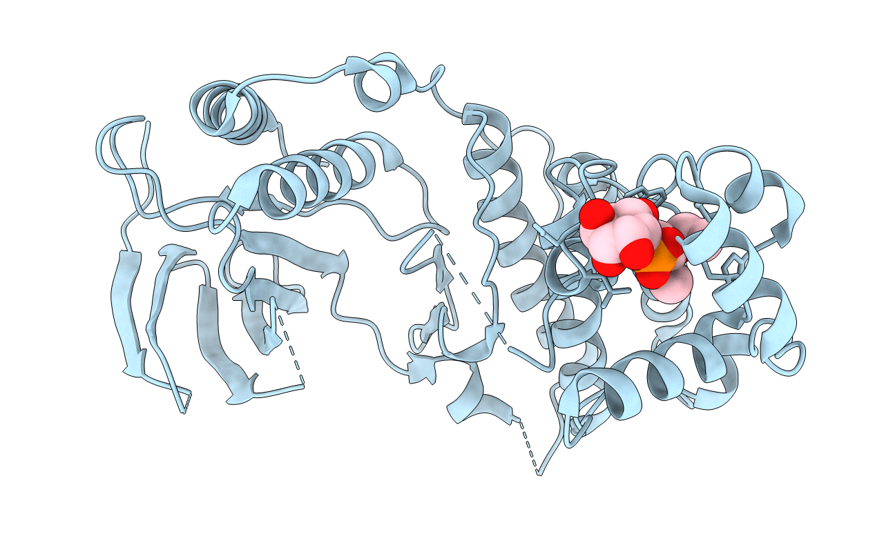 4E6A image
