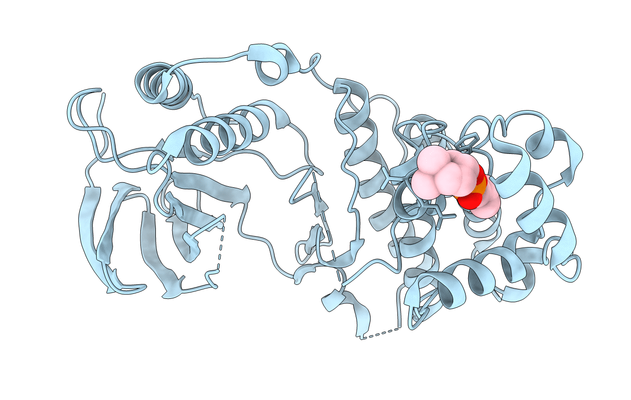 4E6C image