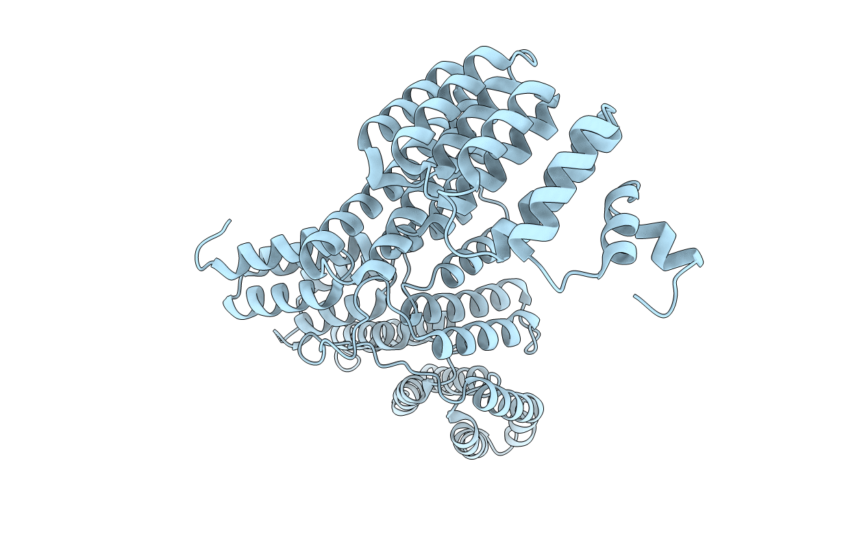 4E6H image