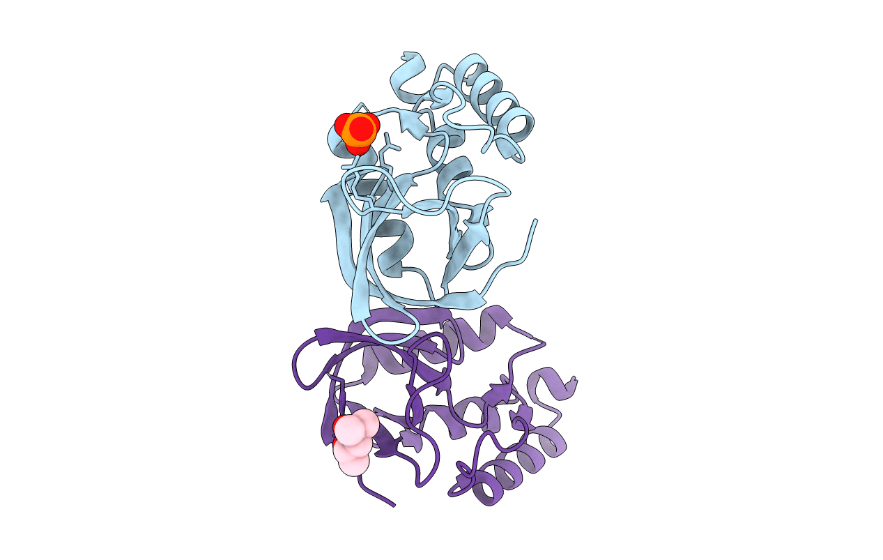 4E6I image