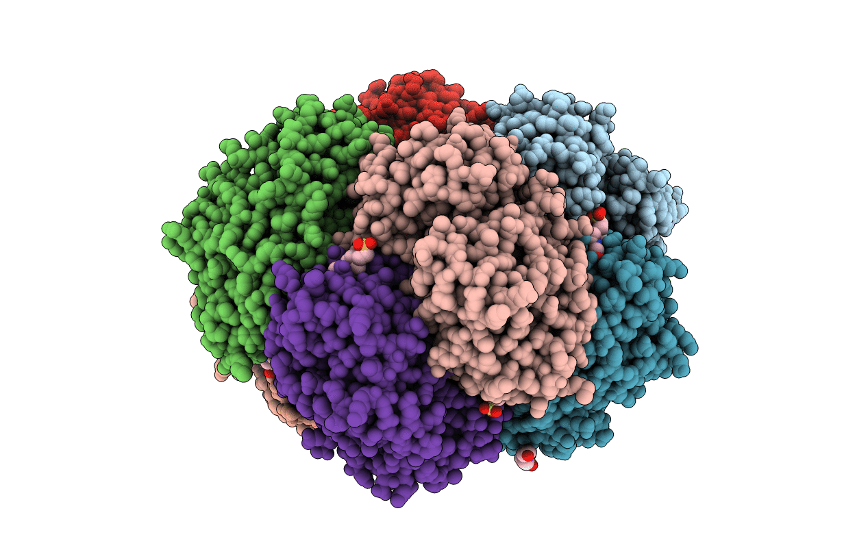 4E6M image
