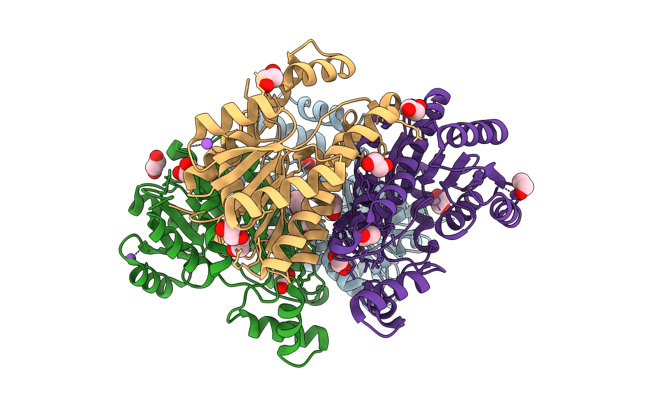 4E6P image
