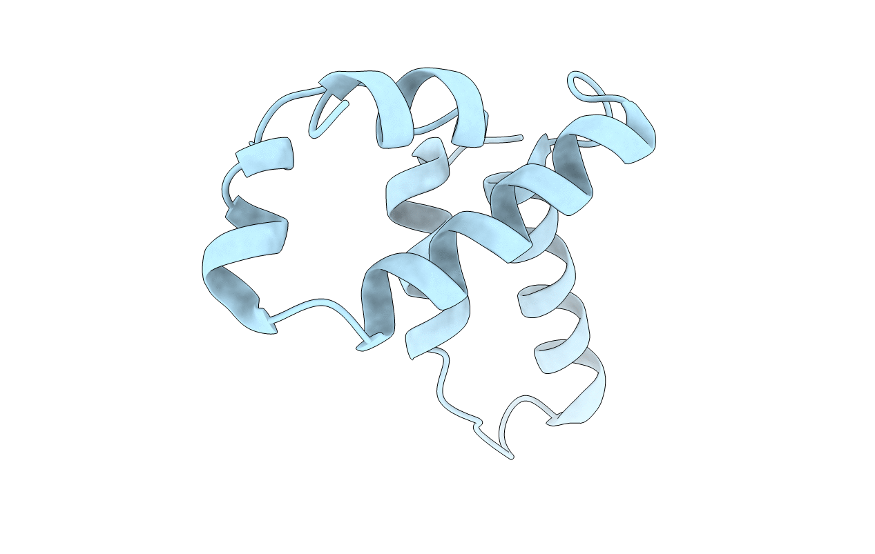 4E6S image