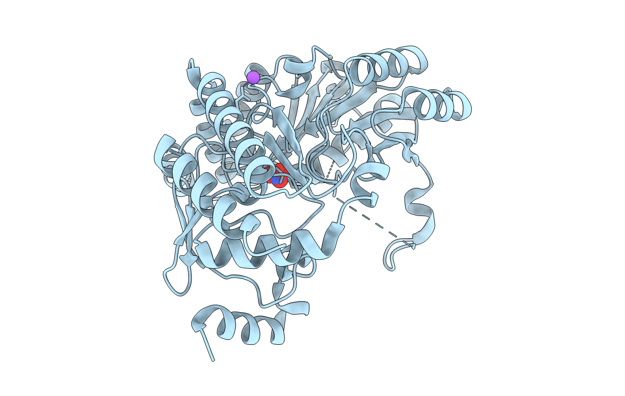 4E77 image