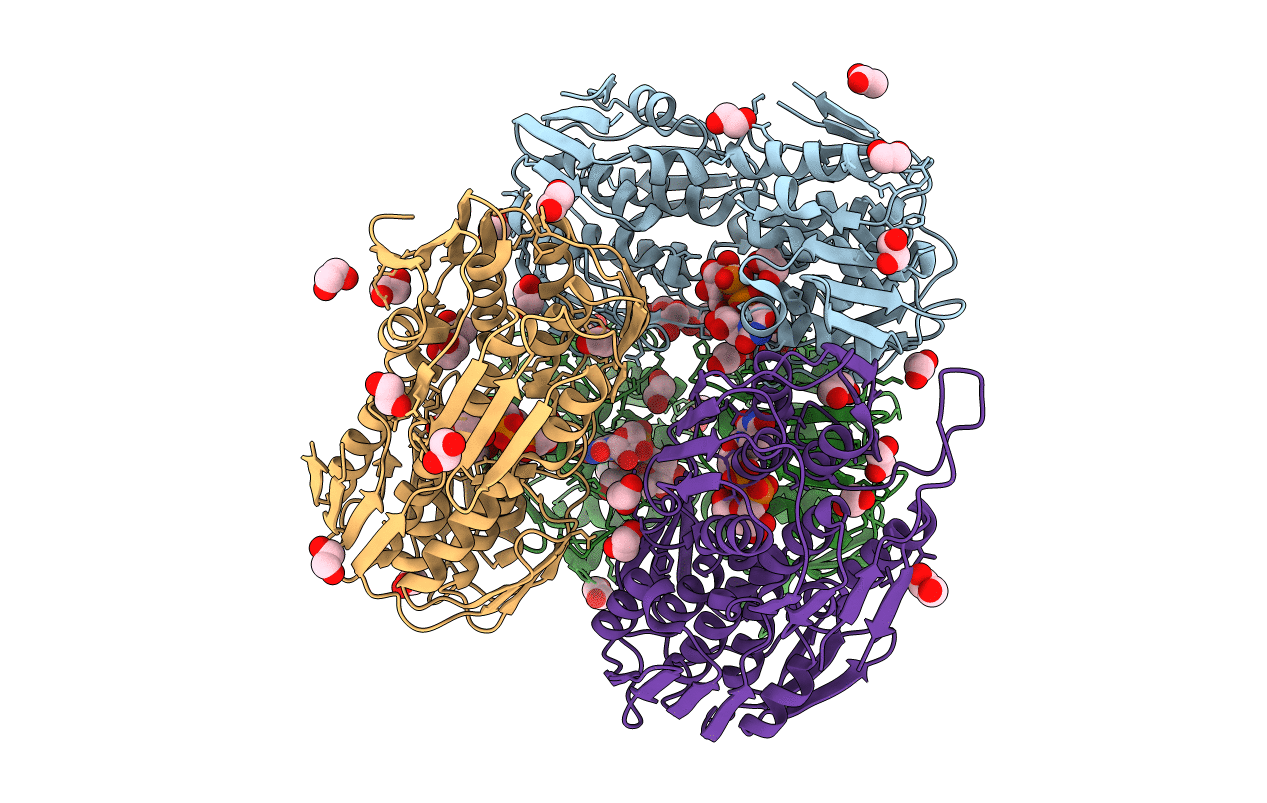 4E7B image