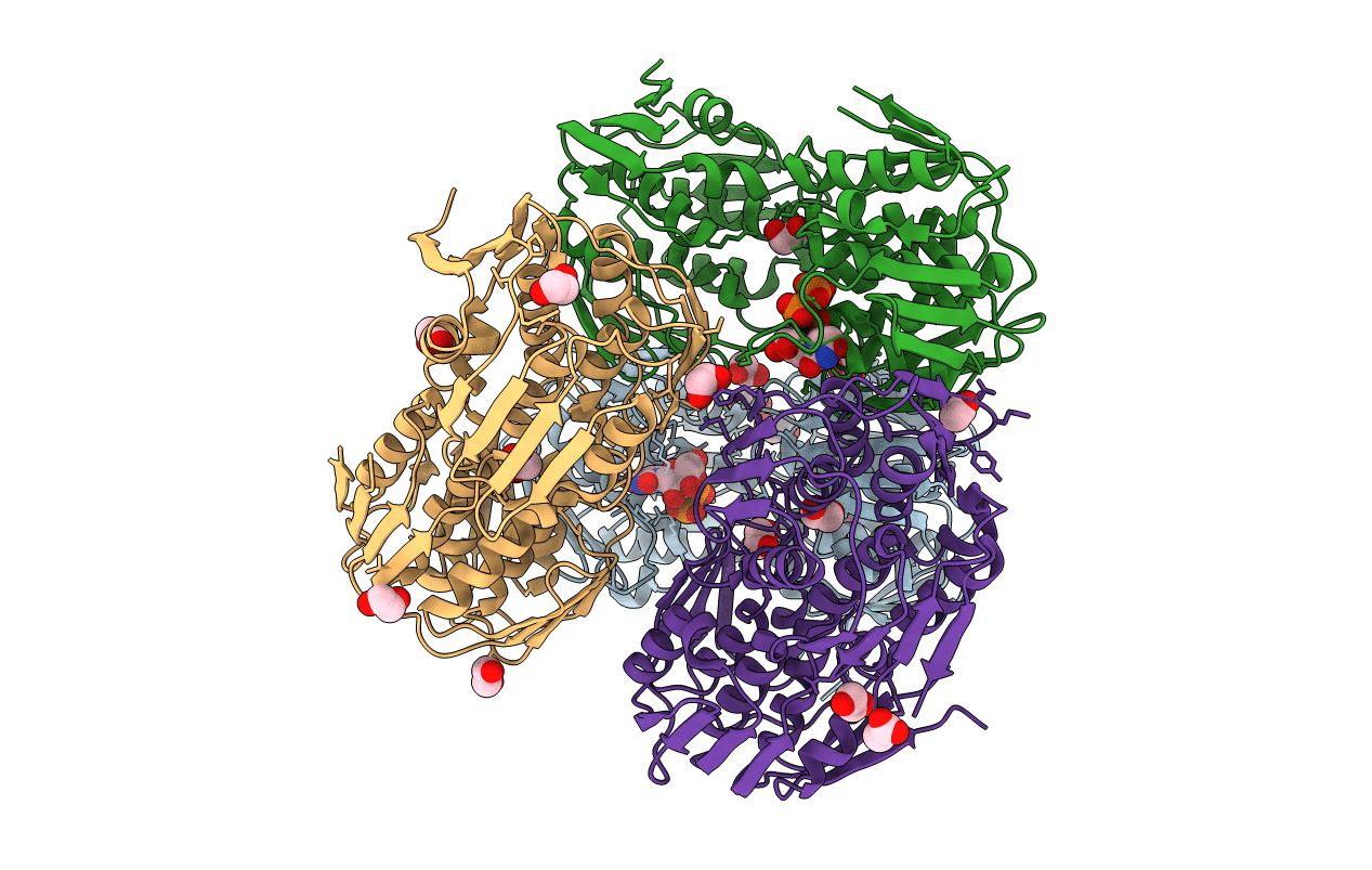 4E7C image
