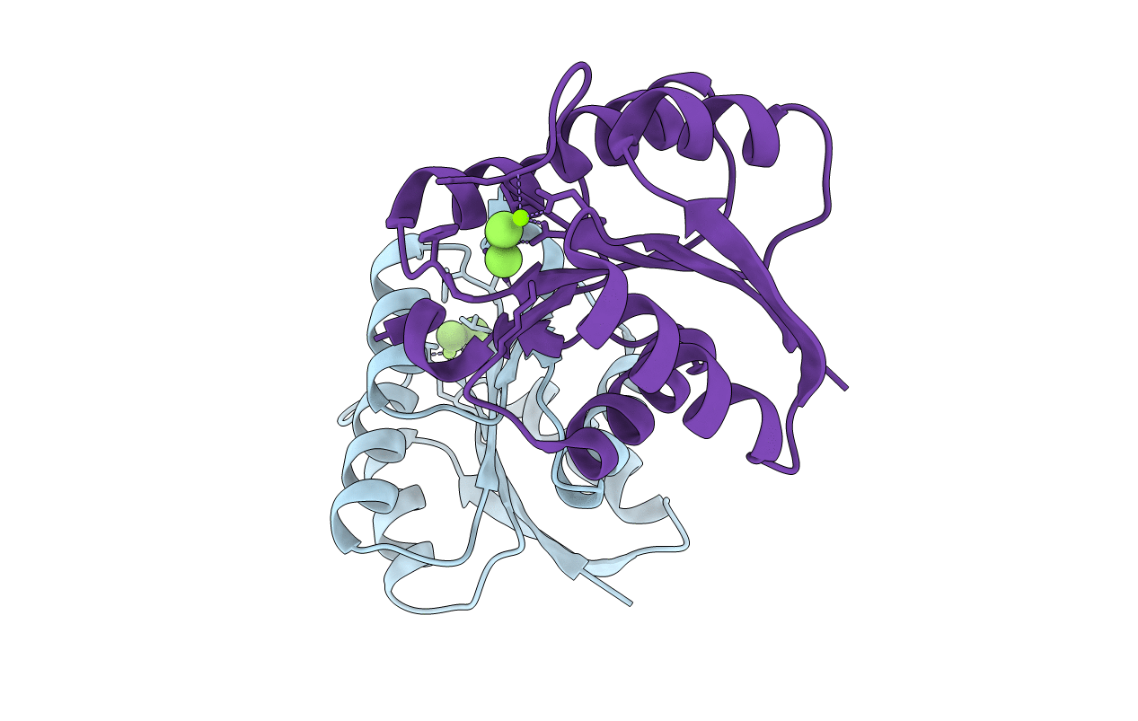 4E7P image
