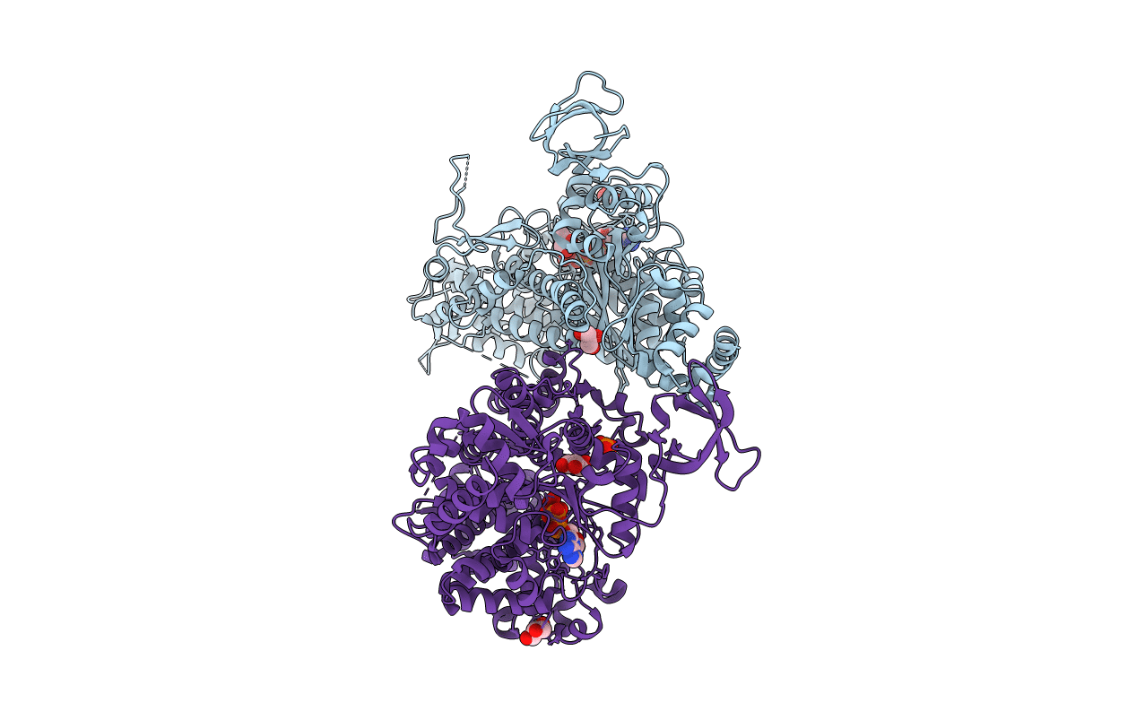 4E7S image