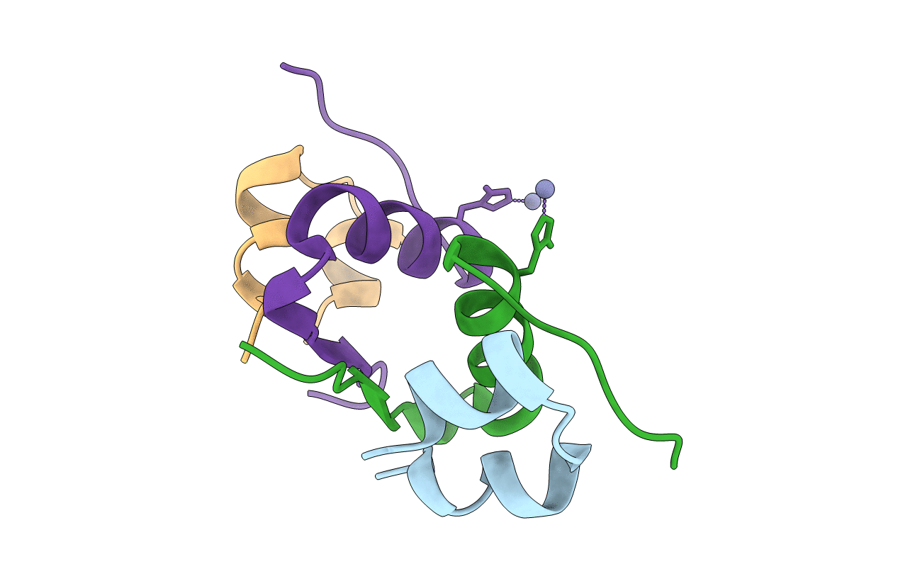 4E7T image