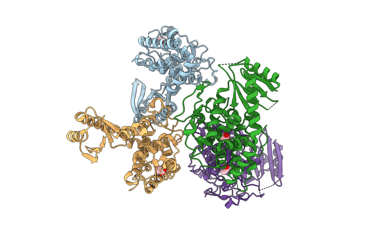 4E7X image