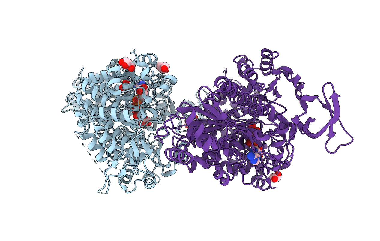4E7Z image
