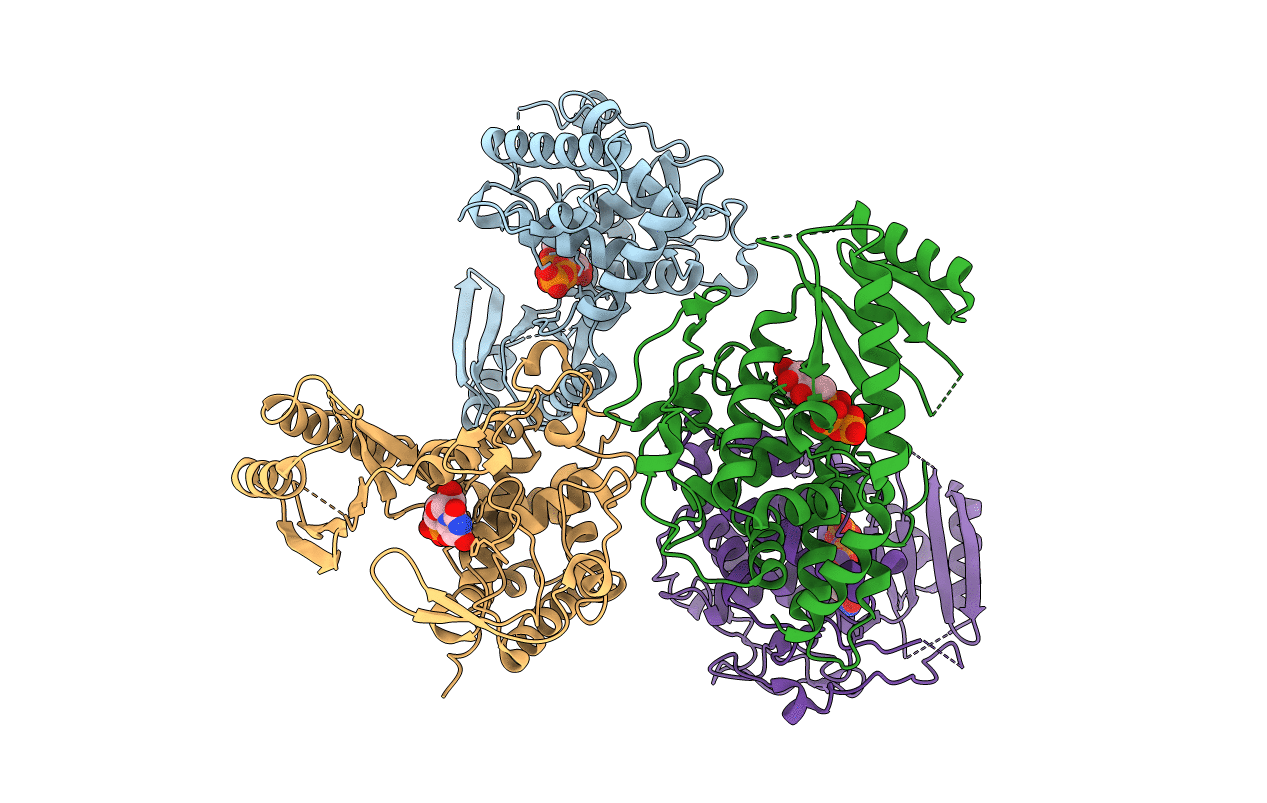 4E80 image