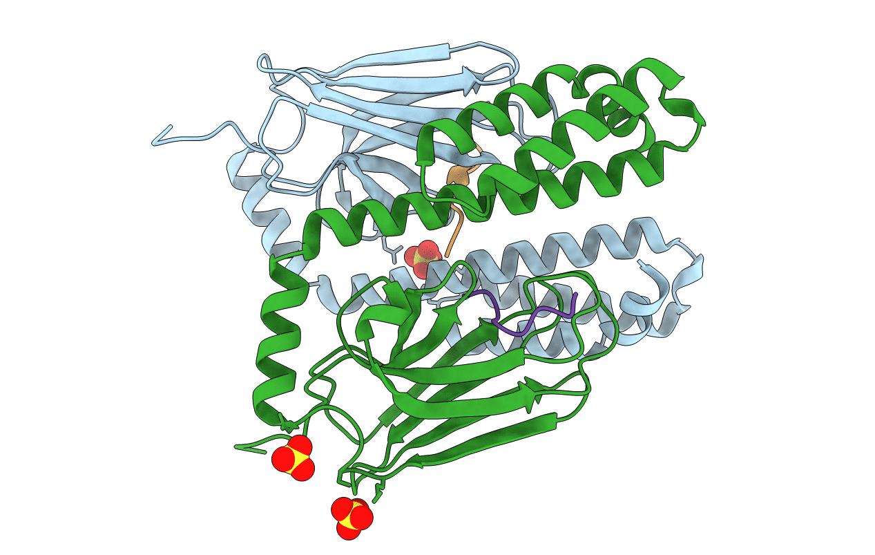 4E81 image