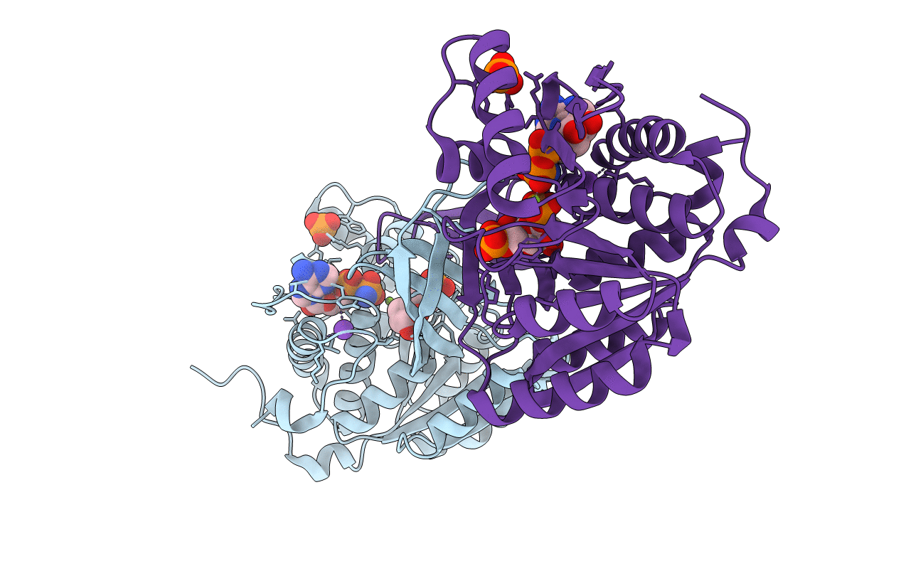 4E84 image