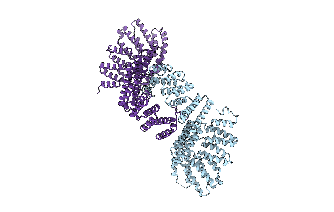 4E85 image